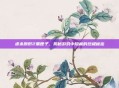 虐杀原形2黑匣子，揭秘游戏中隐藏的终极秘密