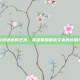 掌握游戏语言的艺术，英雄联盟喊话文本的运用与策略