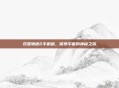 双星物语2手机版,探索宇宙的神秘之旅
