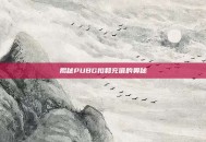 揭秘PUBG扣和充值的奥秘