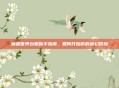 魔兽世界台服新手指南，如何开始你的奇幻冒险