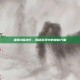 巫师3魔法灯，揭秘游戏中的神秘力量