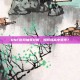 DNF官网抽奖攻略，如何提高中奖率？