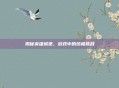 揭秘英雄城堡，游戏中的终极挑战