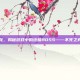 死灵飞龙，揭秘游戏中的终极BOSS——不死之身的奥秘