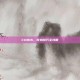 COD16，吃鸡技巧全攻略