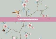 王者荣耀如何经济领先