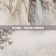 寡妇重做，游戏攻略与策略解析