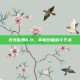 无双乱舞6.9，掌握终极战斗艺术