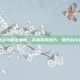飞龙谷攻略全解析，掌握游戏技巧，提升战斗效率