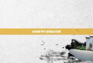 龙腾世界行者加点攻略