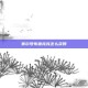 赛尔号布鲁克克怎么获得