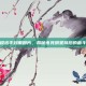 王者荣耀选手封面图片，揭秘电竞明星背后的奋斗与荣耀
