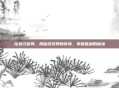 龙状元官网，揭秘游戏界的传奇，掌握胜利的秘诀