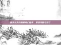 探索扎克与霞的奇幻世界，游戏攻略与技巧