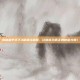 揭秘富甲天下3聚贤庄秘籍，让你成为真正的财富大师！