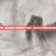 那一夜，我为仙剑5激活码熬了整宿—致我们终将逝去的单机时代