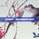 安达利尔，探索未知的奇幻世界