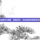 女漫游PK攻略，掌握技巧，成为游戏中的不败之师