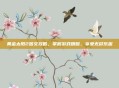 黄金太阳2图文攻略,掌握游戏精髓,享受无尽乐趣