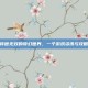 探索传世无双的奇幻世界，一个游戏资讯与攻略指南