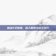 激战2艾敏娜，深入探索与战斗技巧