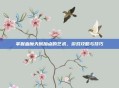 掌握血魔天赋加点的艺术，游戏攻略与技巧