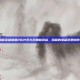 揭秘英雄联盟2021年九月神秘商店，隐藏的宝藏还是陷阱？