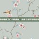 探索博德之门2增强版，深度攻略与游戏资讯