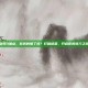 剑网3加点，你真的懂了吗？打破迷思，开启你的奇穴之旅