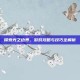 探索光之边界，游戏攻略与技巧全解析