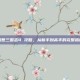幻想三国志4 攻略，从新手到高手的完整指南