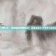 VS三国VIP，是真香还是智商税？深度解析VIP特权与游戏体验