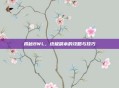 揭秘BWL,终极副本的攻略与技巧