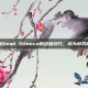 掌握Dead Silence的终极技巧，成为游戏高手