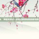 青春归来，那些年我们一起追过的啦啦啦啦德玛西亚第3季