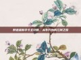 醉逍遥新手卡全攻略，从零开始的江湖之路