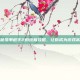 揭秘孤单枪手2的终极攻略，让你成为游戏高手