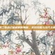 探索三国战纪破解版的奥秘，游戏攻略与技巧全解析