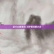 圣斗士星矢OL守护星攻略大全