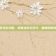 CSGO安全位攻略，掌握战术与技巧，确保你的游戏胜利！