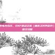 深渊中的电光石火，DNF蠕动之城（痛苦之村列瑟芬）全方位图文攻略