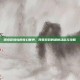 探索冒险岛的奇幻世界，网页游戏的最新动态与攻略
