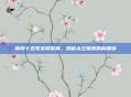 神舟十五号发射时间，揭秘太空探索的新篇章