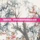 巅峰对决，炉石中美对抗赛的冰火交织
