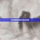剑宗刷图加点86版本攻略