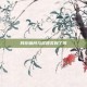 我在暗月马戏团买到了风