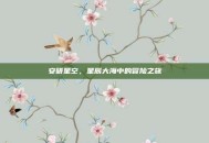 安研星空，星辰大海中的冒险之旅