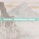 使命召唤10，幽灵深度剧情解析与攻略指南