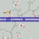 堕落火鹰——游戏界的传奇，探索其背后的故事